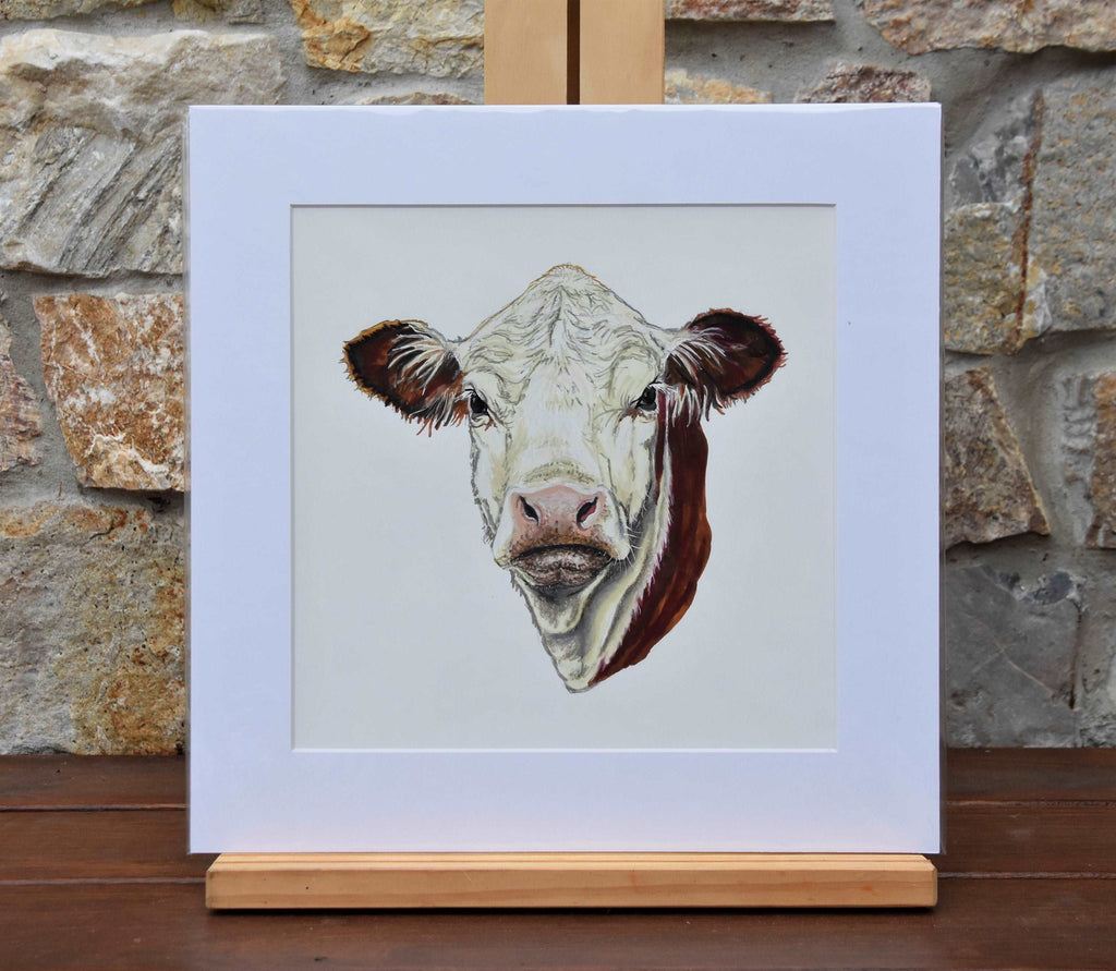 Hereford Cow - Fine art print