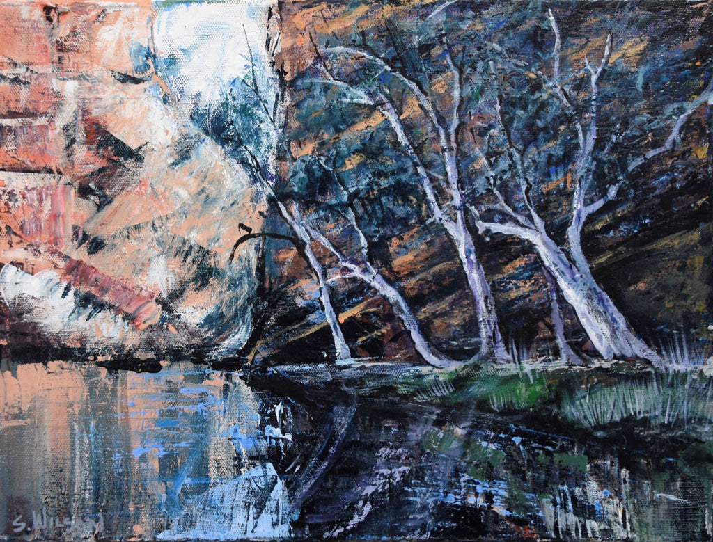 Ellery Creek Big Hole 3- Stretched canvas print