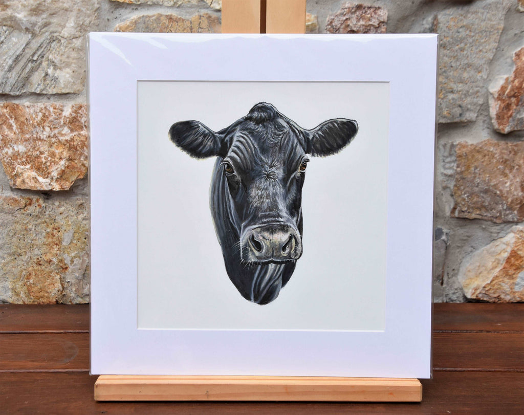 Angus Cow - Fine art print