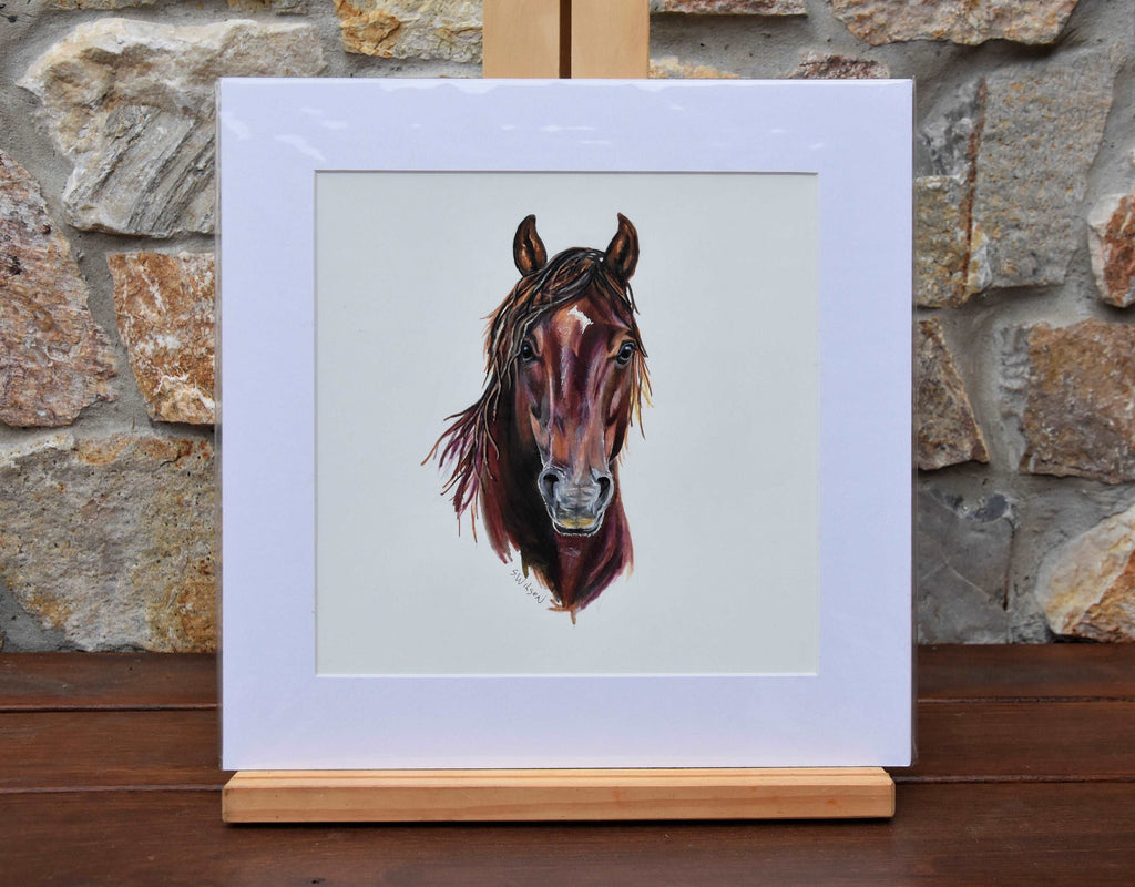 Brumby 1 - Fine art print