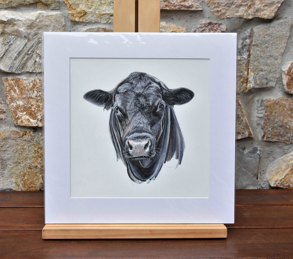 Angus Bull - Fine art print