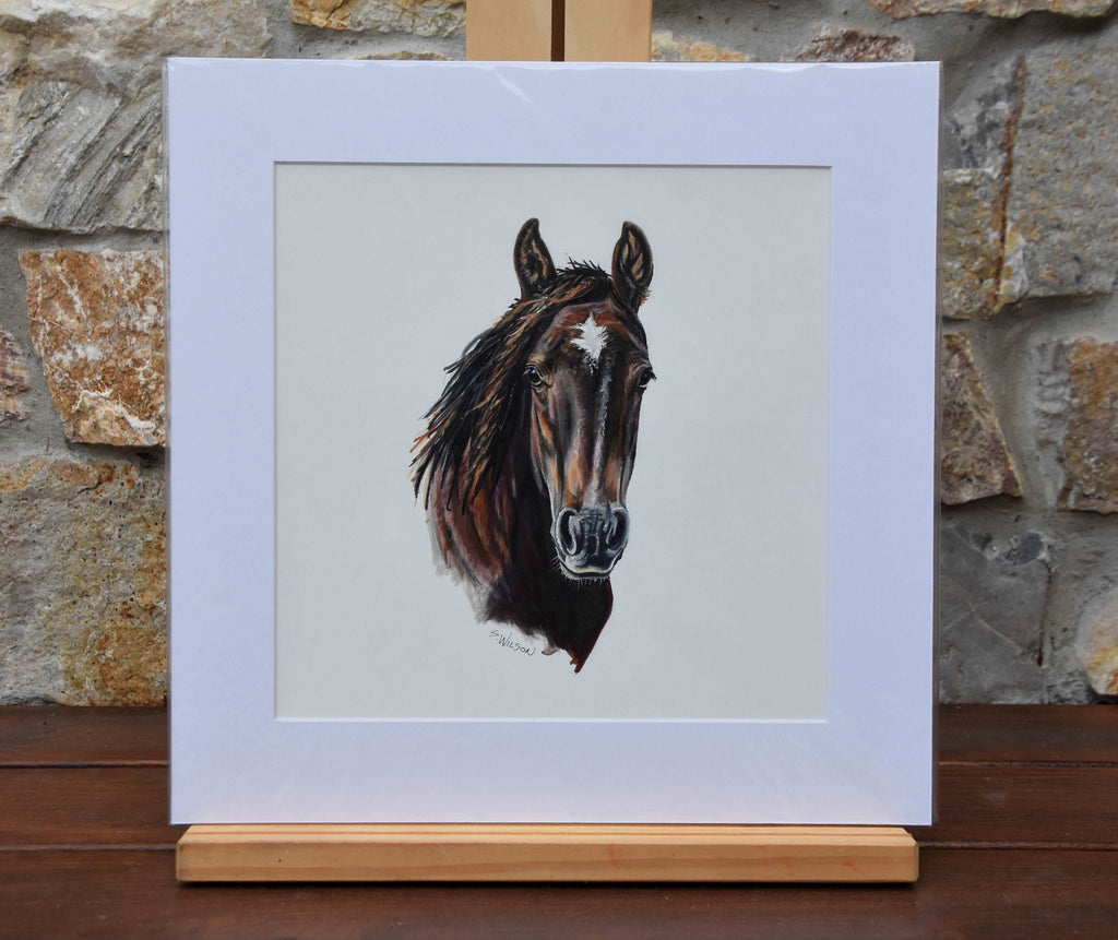 Brumby 2 - Fine art print