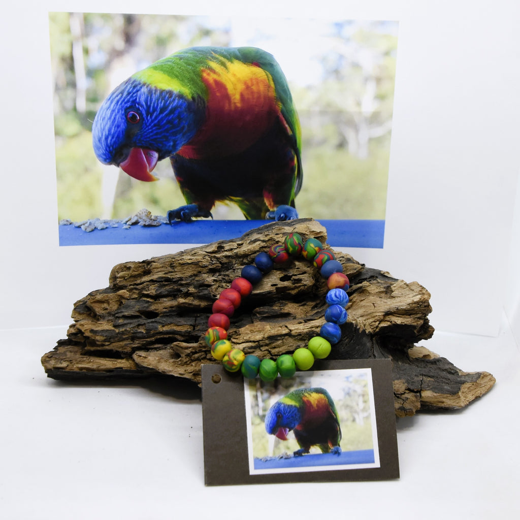 Rainbow Lorikeet - Landscape Bracelet