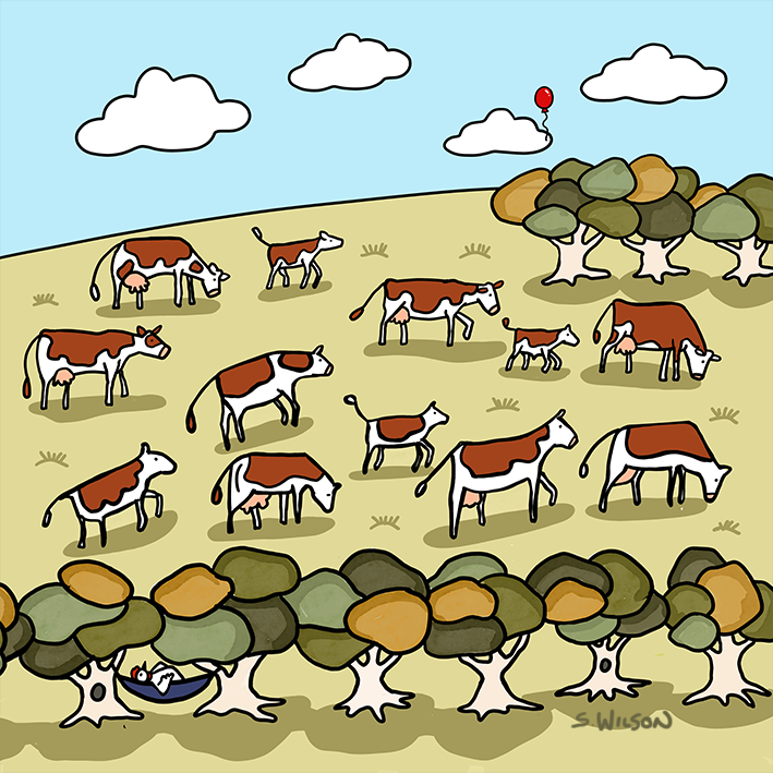 SUMMER GRAZING - Square Card
