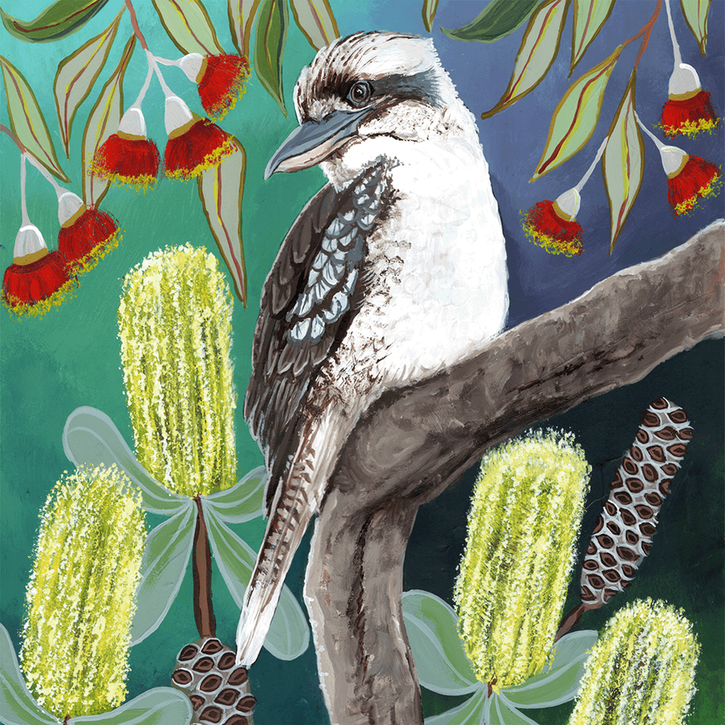 KOOKABURRA - Square Card