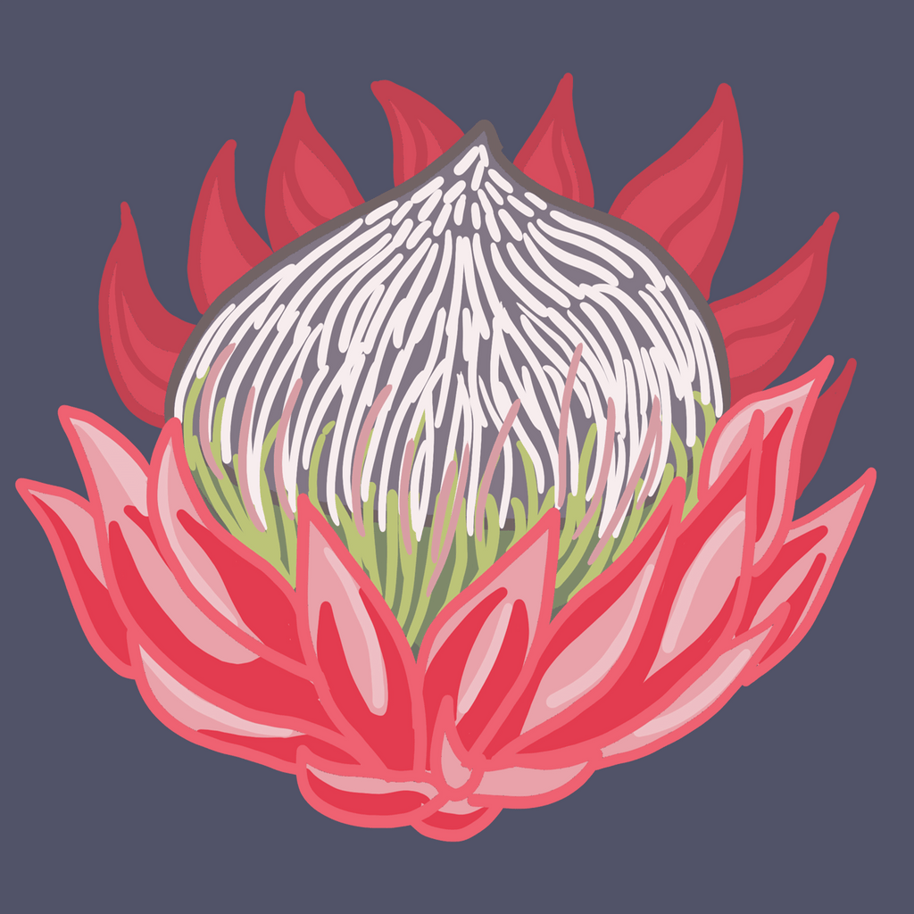 PROTEA - Square Card